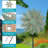 Outdoor Small Iron Windmill 2 Pack