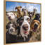 Funny Animal Dog Selfie by The Creative Bunch Studio Framed Canvas Wall Art Print-41230584