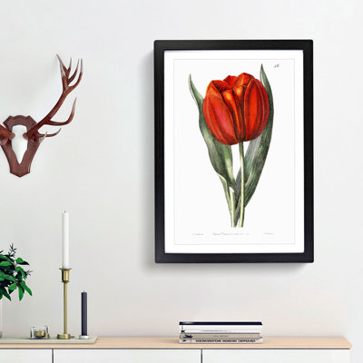 Red Tulip - Picture Frame Painting Print