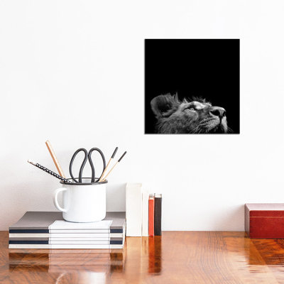 Lion In Black And White II by Lukas Holas - Wrapped Canvas Print