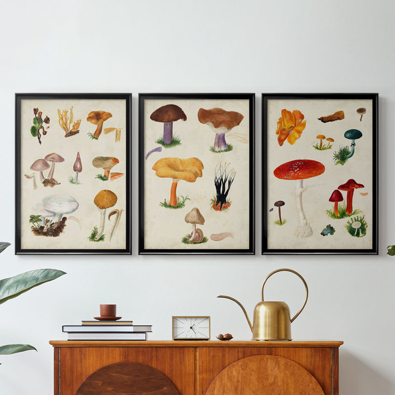 Mushroom Species VI - Toile tendue avec châssis sur mesure - 3 pièces, H 21 po x l 30 po, Noir