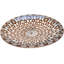 Ceramic / Porcelain Decorative Plate