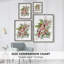 Cardinal Holly Christmas Collection B, reproduction encadrée - bois massif