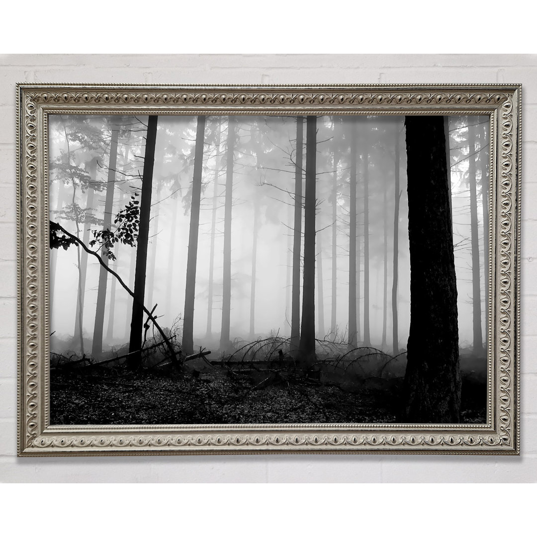 Silver N Silver Woodland Mist - Einzelner Bilderrahmen Kunstdrucke