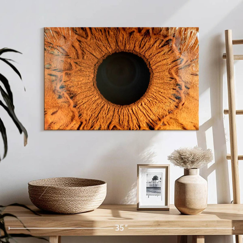 Alcaraz Brown Iris, 16" H x 24" W