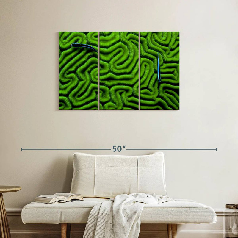 Brampt Green Brain Coral, 24" H x 38" W