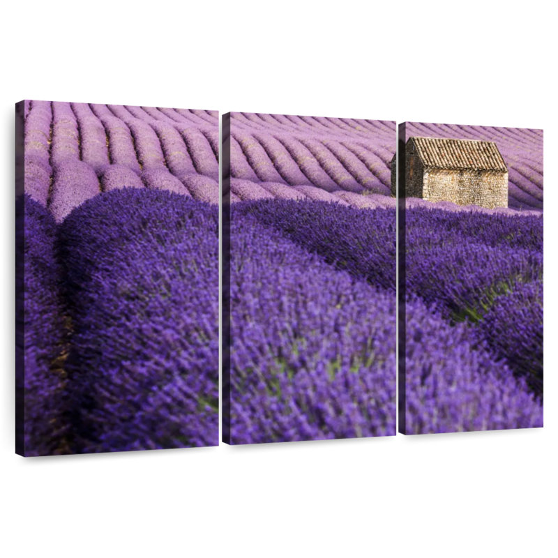 Alvord Valensole Plateau, 36" H x 57" W