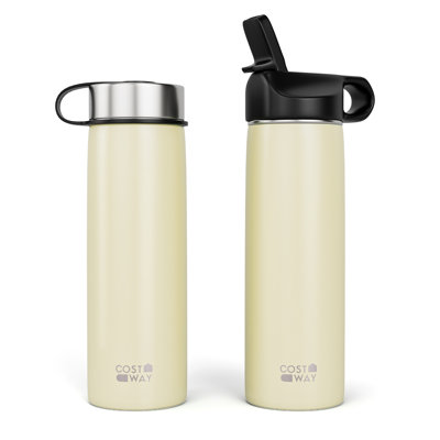 Costway 22 oz. Double Wall Stainless Steel Water Bottle with Straw