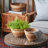 3-Piece Salad Bowl