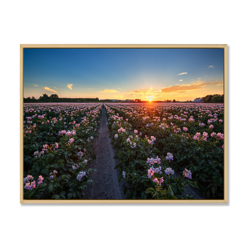 Fleurs vives au coucher du soleil - On, H 24 po x l 36 po x P 0,1 po, Toile avec cadre flottant brun