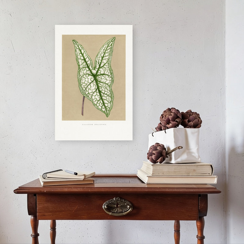 «Green Caladium Belleymii Leaf Illustration Abstract Retro Vintage Flower Landscape», reproduction d'art mural, 24" H x 16" W