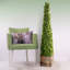 Topiaire de buis Armatha Spring en pot-1161632051