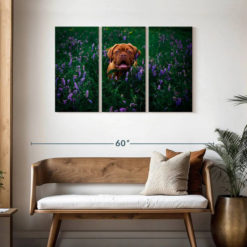 Dogue français Brampt, H 28 po x l 45 po