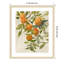 «Branch of Oranges I» par Jacob q, impression sur bois encadrée-100671908