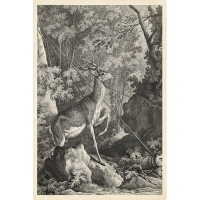 Woodland Deer VII - Wrapped Canvas Print