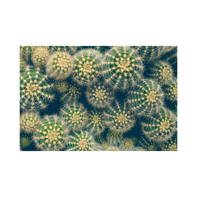 Cactus 1 Piece Wrapped Canvas Wall Art, 66.04 cm H x 45.72 cm W x 1.91 cm D