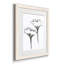 Windswept Poppy - Impression de cadre photo sur papier-1233141401-1233141406