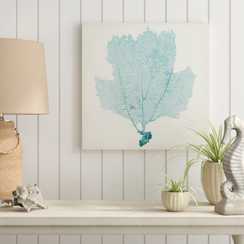 Sea Fan III 1 Piece Wrapped Canvas Painting, 51cm H x 51cm W
