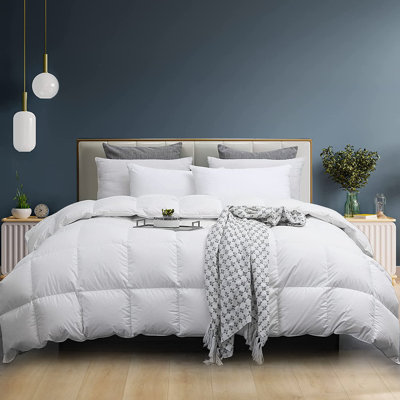 650 FP All Season Down & Feather Blend Comforter, White