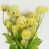 Yellow selected
