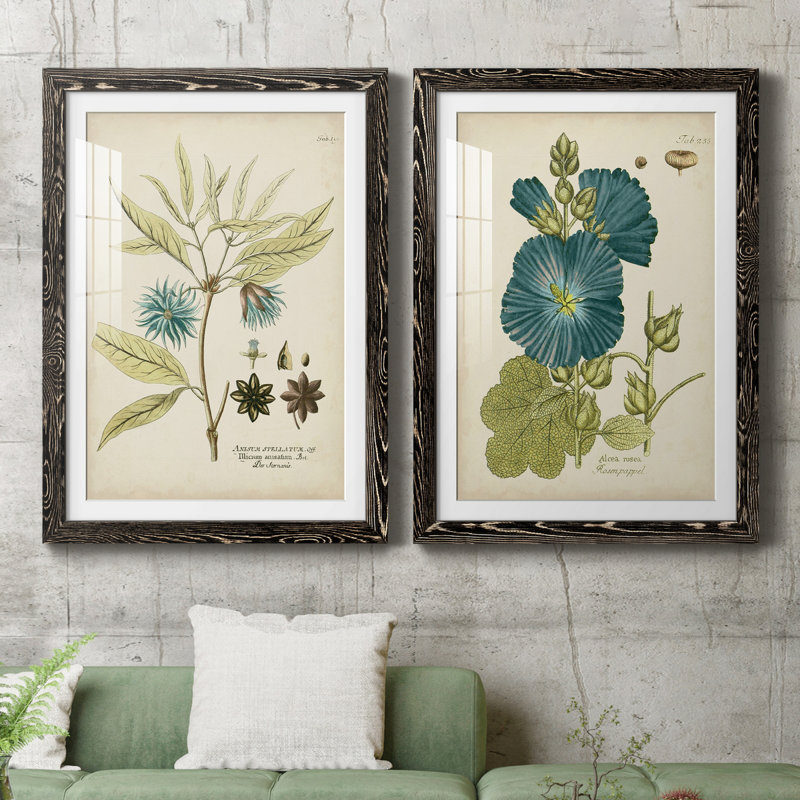 Eloquent Botanical III - Ensemble de 2 peintures encadrées, H 37,5 po x l 55 po x P 1,5 po, Blanc, Papier encadré noir