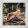 A Red Fox On Tree Root - 1 Piece Square Graphic Art Print On Wrapped Canvas