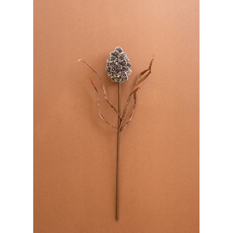 Kalalou Pinecone