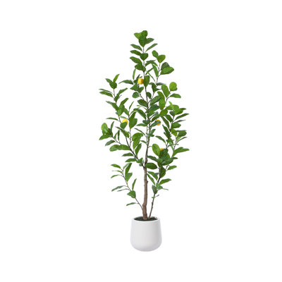 Adcock Artificial Plastic Lemon Tree in Pot, Pre Potted Faux Greenry Lemon Plant for Home Decor