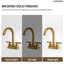Centerset Bathroom Faucet with Drain Assembly, 2-Handle Bathroom Sink Faucet -110871956