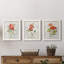 Lin géranium - ensemble de 3 impressions sur toile encadrées-383375877-383375887