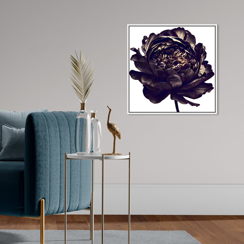 Pivoine noire - Impression sur toile, Cadre blanc, H 21 po x l 21 po