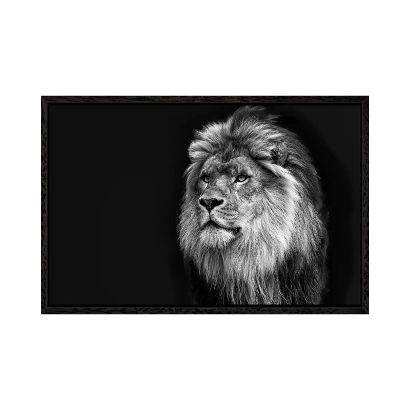 Majestic In Black & White by David Gardiner - Print on Canvas, 66.04 cm H x 45.72 cm W, Black Framed