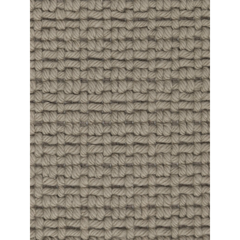 Rani Hand Loomed Area Rug in Beige, Rectangle 10' x 14'