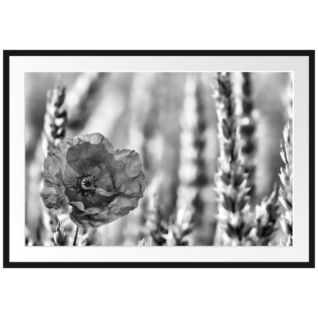 Gerahmtes Poster Mohnblume im Kornfeld