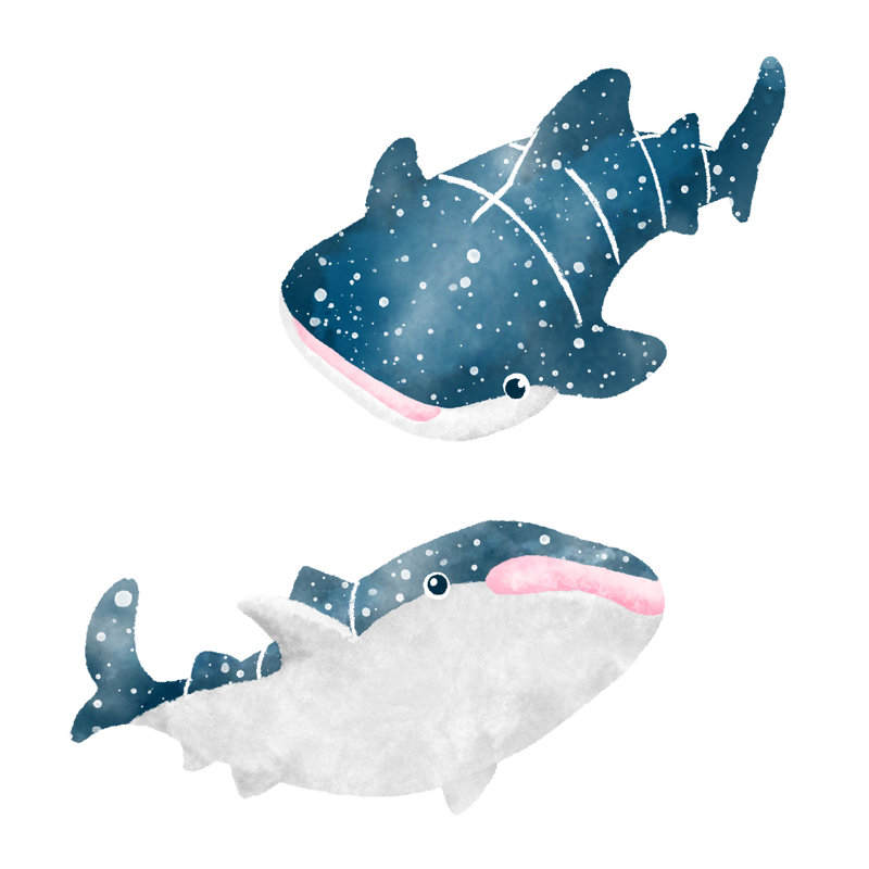 «Advithi Whale Sharks» 13096994 sur toile par Miyoshi-Illustration, impression, H 12 po x l 12 po