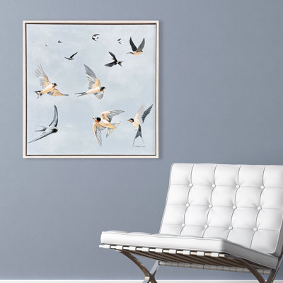 Cleara Swifts