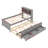 Aleona Bookcase Bed-1769185944