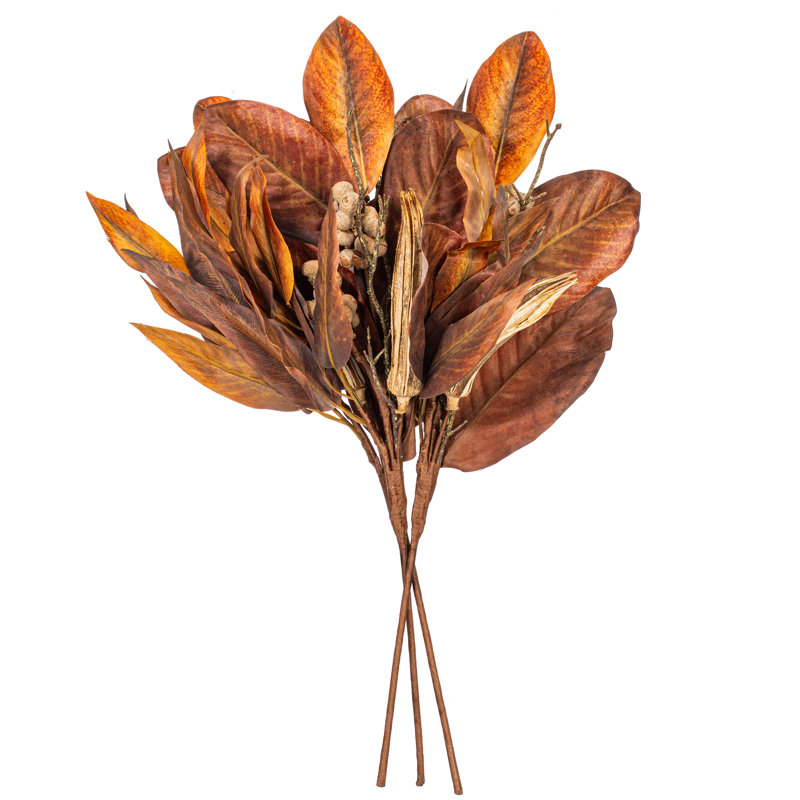  24 po de feuilles de magnolia brun. Il mesure 24 par 6 pouces. Il comprend 3 pièces par sac.