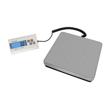 ZWILLING Enfinigy 22Lbs Digital Food Power Scale, Kitchen Scale, White