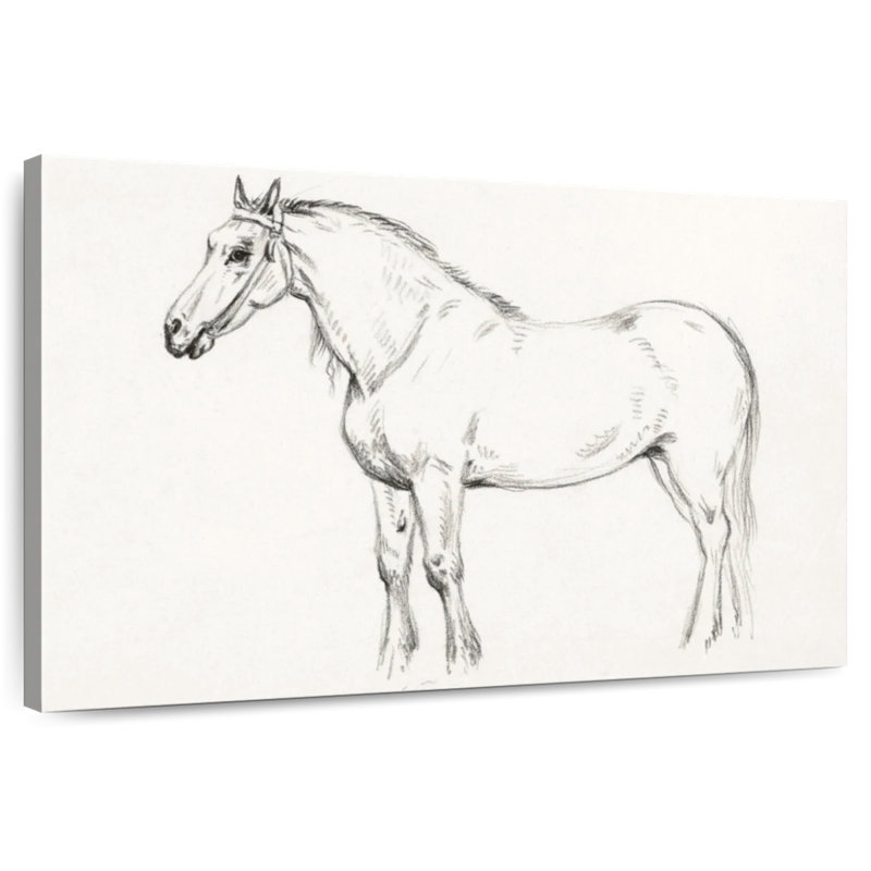Brampt Standing Horse 1818, 24" H x 36" W