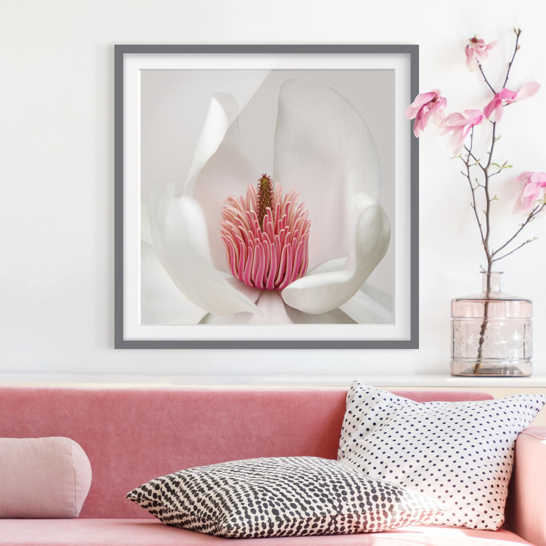 Gerahmtes Papierbild Magnolie in Rosa