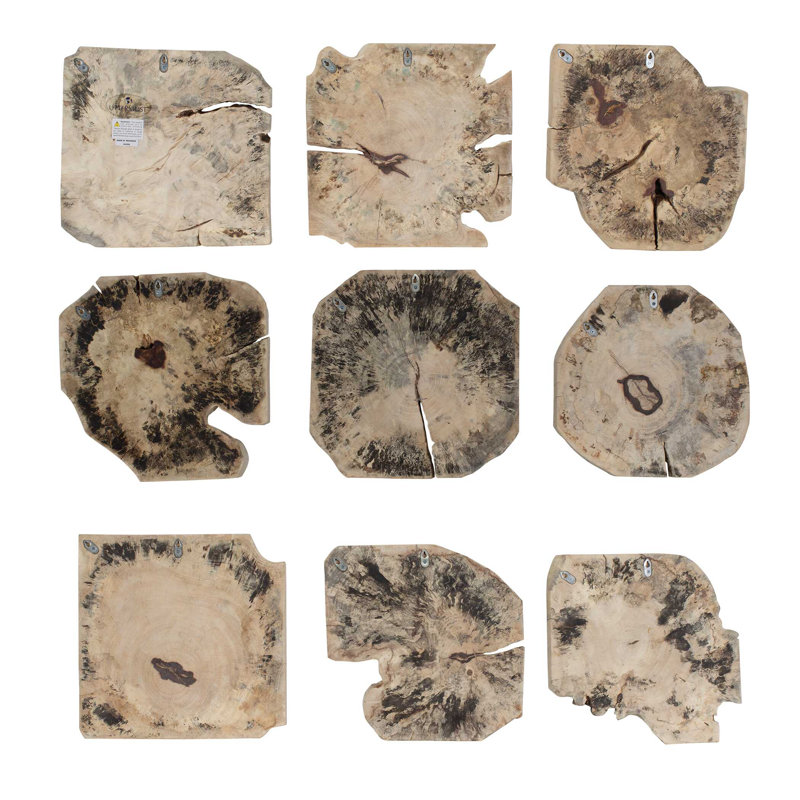 Uttermost Bahati Wood Bleached Wall Decor