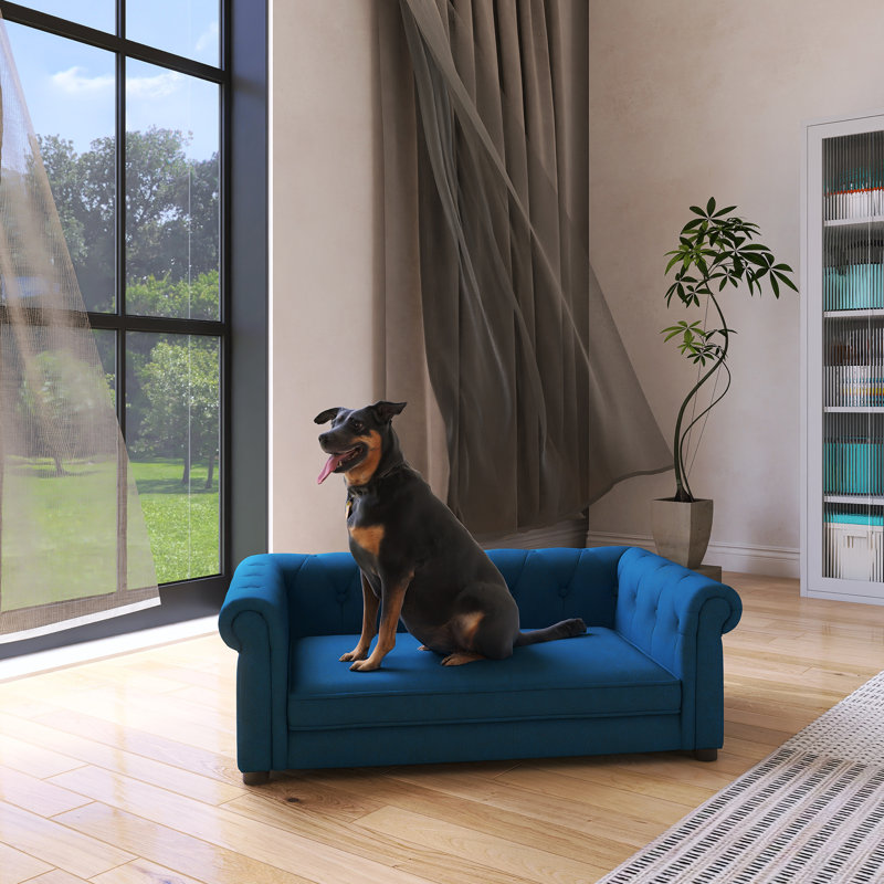 Lit pour chien élégant et rectangulaire pour petits et moyens chiens, Bleu