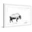 « pâturage bison », reproduction de photo sur papier encadrée-19579099