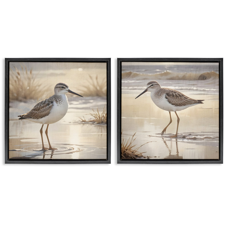 Ensemble de cadres flottants 2 pièces Sunlit Sandpipers Wading Shore, design par Susan Arnot, Cadre flottant noir de jais