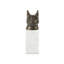 Bastet Animals Figurines & Sculptures