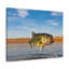No Frame Print on Canvas-1669430300