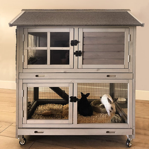 Wire Rabbit Carriers Tucker Murphy Pet™ Rabbit Hutch Indoor Outdoor Bunny Cage Rabbit House ...