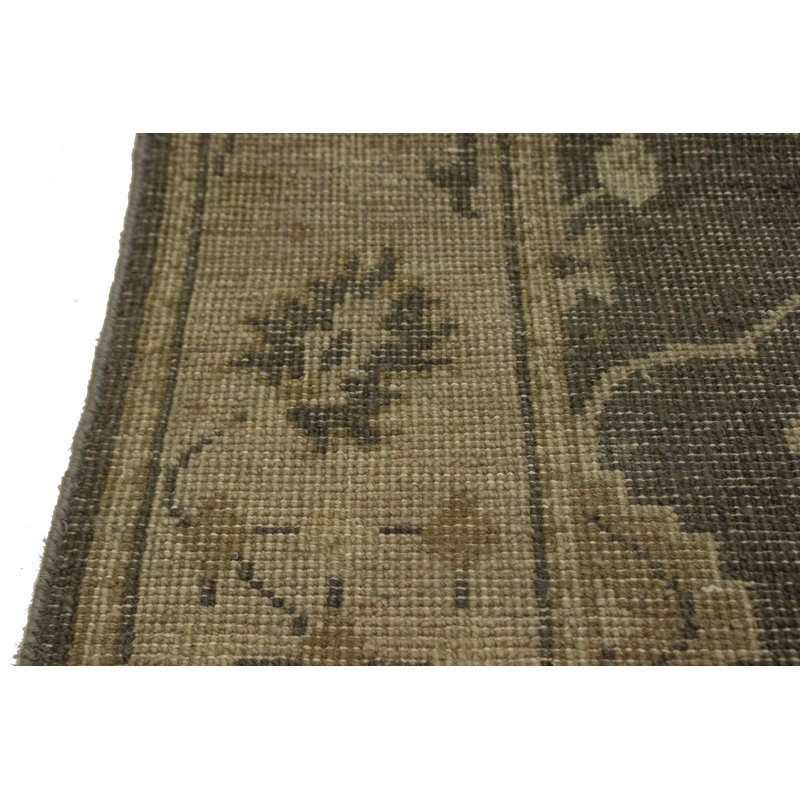 Performance Wool Oriental Indoor Rug