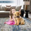 Machine Braided Area Rug-505128501